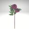 22" Artificial Burgundy Peony Spray – Faux Floral Stem for Wedding Bouquets & Elegant Decor-FSP025-BU